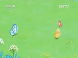 小小智慧树 《小小智慧树》 20160314