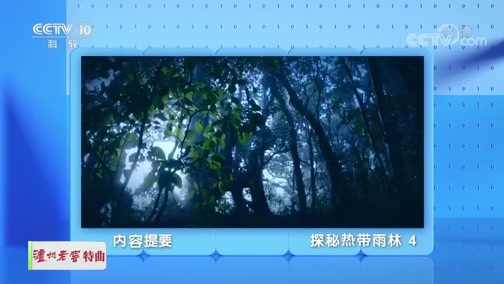 地理中国 《地理·中国》 20191212 探秘热带雨林4