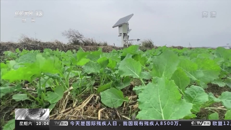 新闻直播间 《新闻直播间》 20221203 10:00