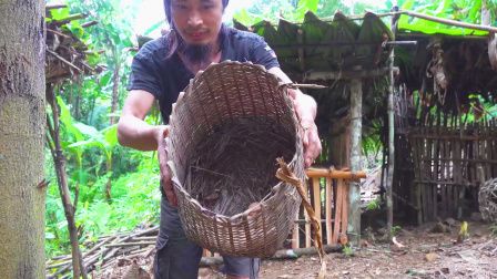 原始丛林人苏门答腊 第二季 荒野大神幸福荒野生活，纯天然散养鸡，鸡蛋多到吃不完