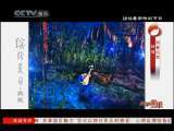 风华国乐 风华国乐 2010年 第223期