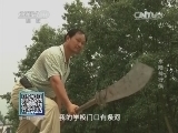 我爱发明 《我爱发明》 20140628 水陆神行侠