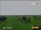 远方的家 《远方的家》 20141228 北纬30°·中国行（21）上饶：“清”山绿水