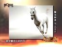 解码财商 解马财商 马上发达 120326