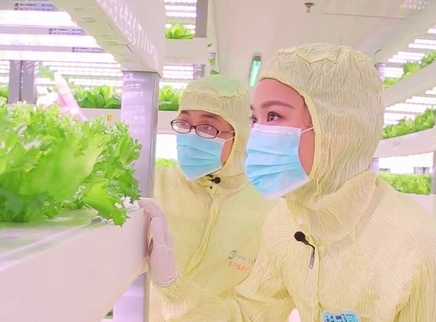 新闻大求真 植物工厂是如何生产蔬菜的？
