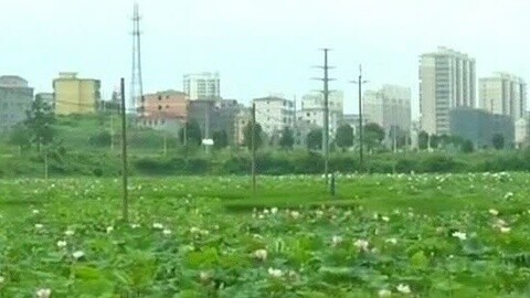 耳目一新 耳目一新20150617