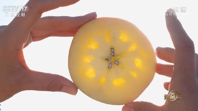 致富经 《致富经》 20200210 湘妹子的金果果