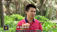 致富经 [致富经]黑色的诱惑 20160704