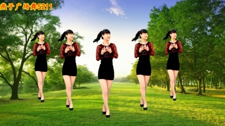 经典金曲《广场舞》动感的节奏，入耳又入心