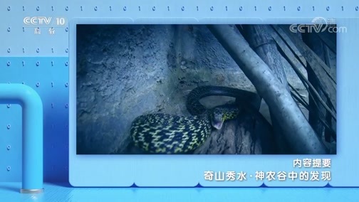 地理中国 《地理·中国》 20191111 奇山秀水·神农谷中的发现