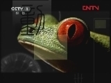 动物世界 《动物世界》 20120322
