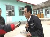 我爱发明 《我爱发明》 20160405 沙棘脱粒记