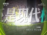 地理中国 《地理中国》 20171026 奇居乐土·灵山仙居