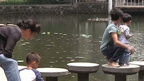 小强热线 小强热线20140417