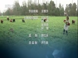 中国财经报道 《中国财经报道》 20170617 我们村里的新产业