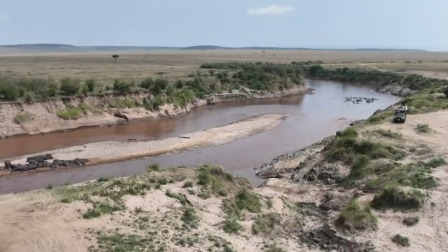 东非野生动物大迁徙 初识马赛马拉