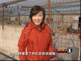 生财有道 生财有道 2010-12-14