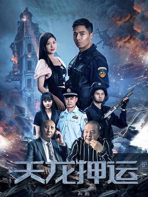 天龙押运 海报