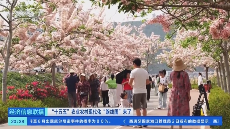 经济信息联播 《经济信息联播》 20260603