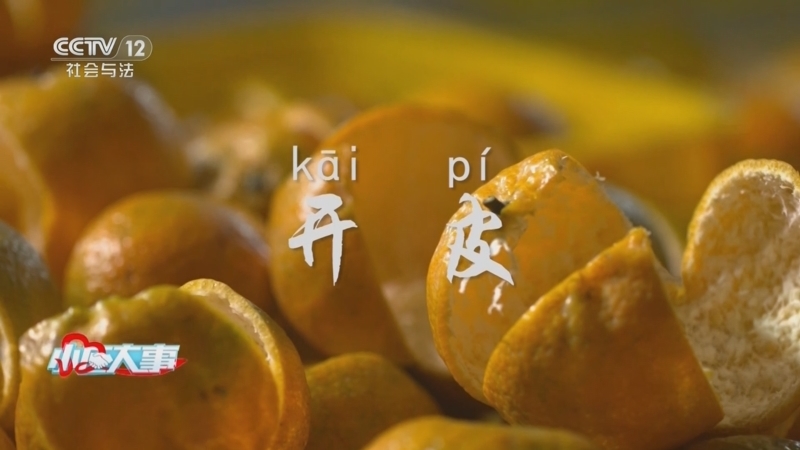 《小区大事》 20250824 小陈皮撑起大民生