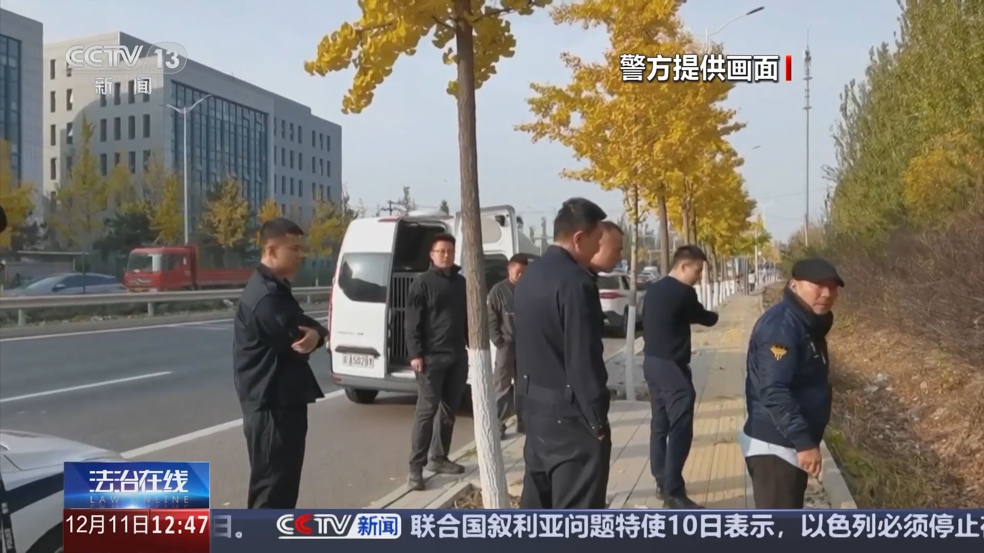 法治在线 《法治在线》 20241211