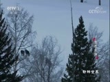 动物世界 《动物世界》 20180814 野性美洲（三）