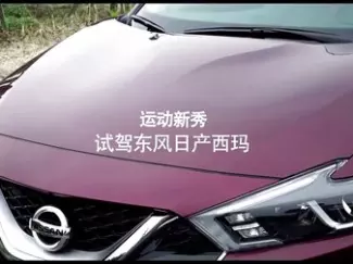 Y车评原创试车 运动新秀 试驾东风日产西玛