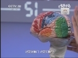 健康之路 《健康之路》 20130531 记忆密码