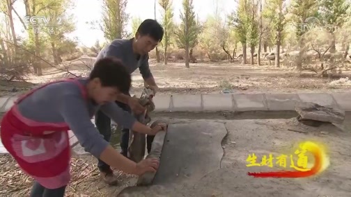 生财有道 《生财有道》 20191105 甘肃金塔：胡杨美 特产俏 旅游忙