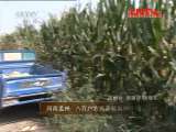 县域经济报道 《县域经济报道》 20111019