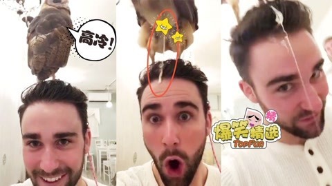 爆笑精选 小伙头顶鸟自拍出糗，高冷猫头鹰送了份大礼！