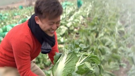 食在好源头 第四季 韩国全罗南道：越冬大白菜 鱿鱼干 黄金柚（小柚子 制作柚子茶） 黄太鱼