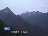 夕阳红 《夕阳红》 20170827 上门女婿离了婚