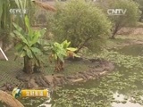 生财有道 《生财有道》 20150615 险中求财的驯鳄猛士/马戏团里的明星们