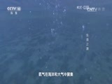 地理中国 《地理中国》 20160605 海洋日特别节目·生命之源