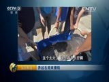 生财有道 《生财有道》 20150720 养起石斑来赚钱