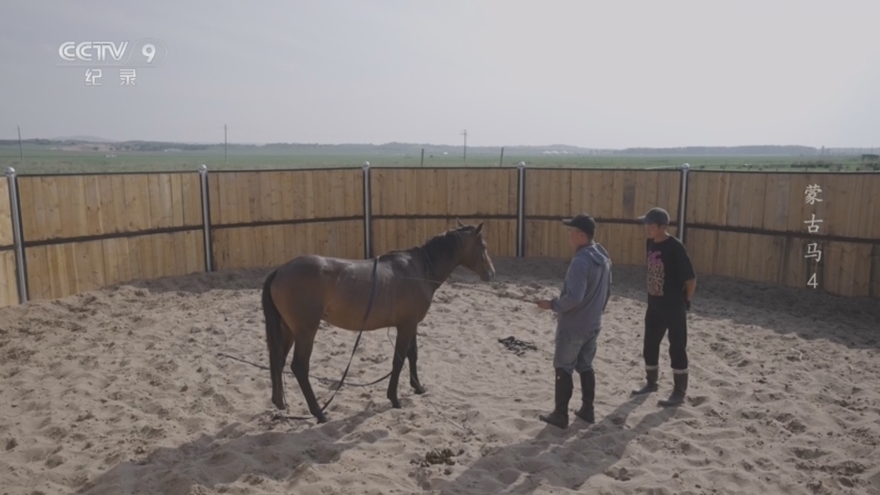 《蒙古马》 第4集