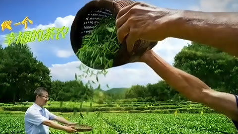 与梦想合拍 走，做一个幸福的茶农