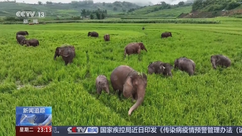 24小时 《24小时》 20250812