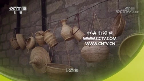 探索发现 《探索发现》 20181119 手艺 第八季 琼黎藤编