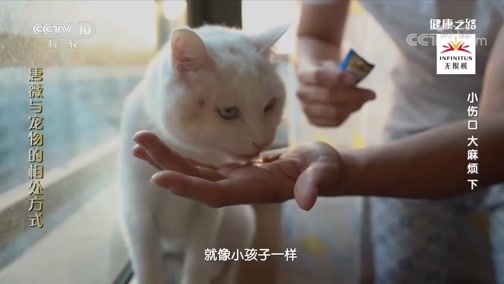 健康之路 《健康之路》 20191129 小伤口 大麻烦（下）