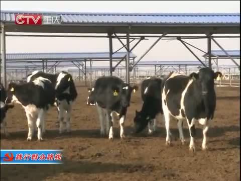 重庆新闻联播 《重庆新闻联播》 20141124