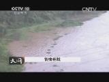 天网 《天网》 20140717 智擒艳贼