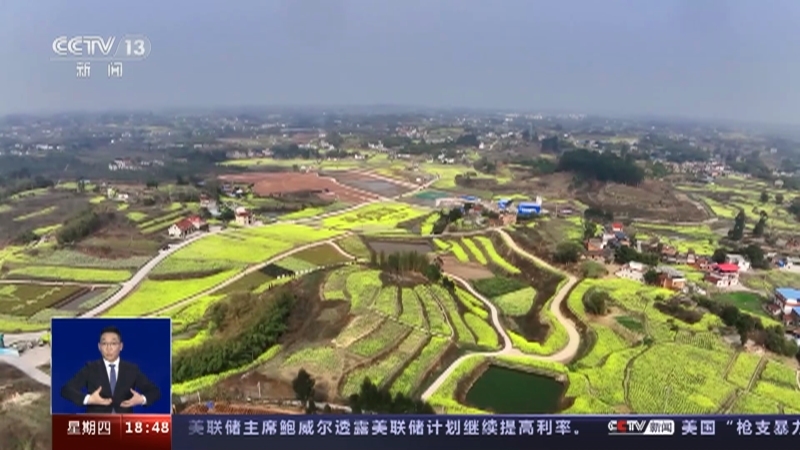 共同关注 《共同关注》 20230309