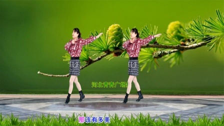 流行DJ广场舞及教学 第三季 轻快活泼广场舞《小师妹》32步演示分解
