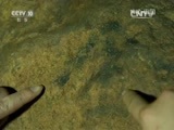 地理中国 《地理中国》 20160404 奇物迷象·仙洞传奇