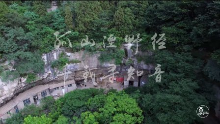 二更视频 大叔石窟考察 意外发现痛心一幕 773