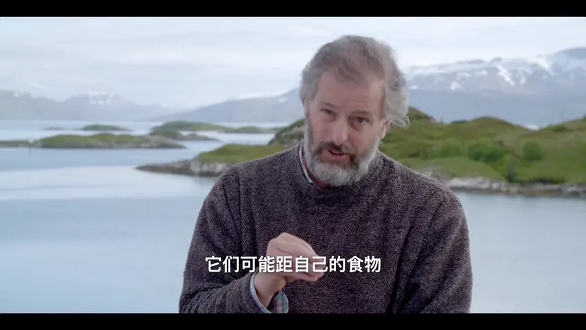 《史前巨兽大揭秘》第5集