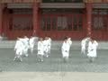 米卡成长天地（3-4岁） 中华文化-太极拳
