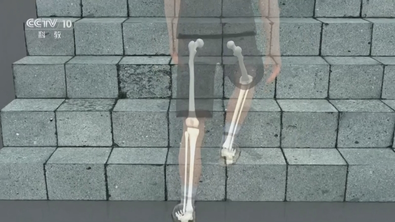 《实验现场》 20260410 户外登山如何避免膝关节伤害